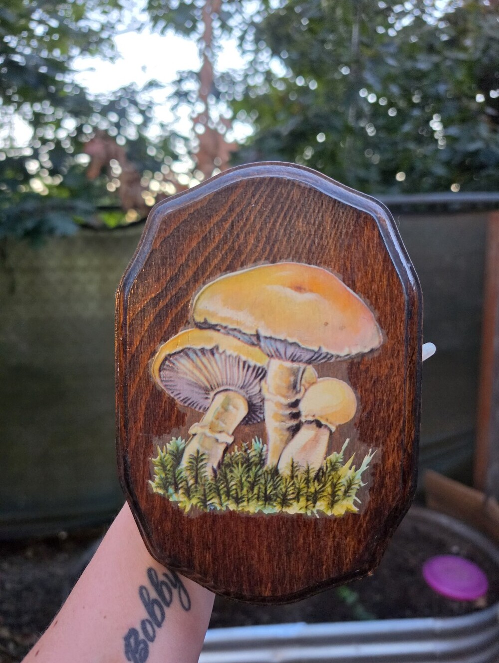 Vtg 70's Mushroom Wood Wall Plaque Retro Groovy Cottagecore Woodland Goblincore